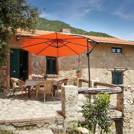 Casa Berti - Urlaub Im Olivenhain กาไมโยเร ภายนอก รูปภาพ