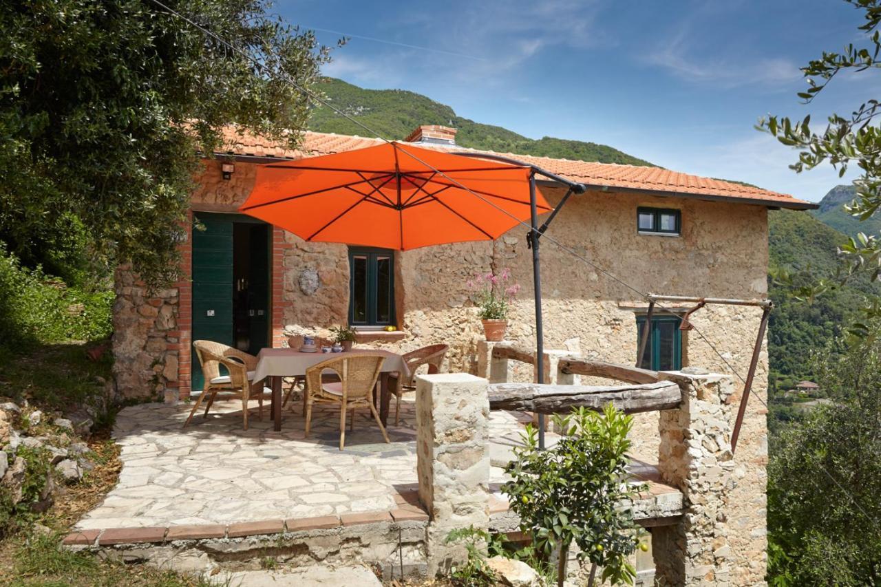 Casa Berti - Urlaub Im Olivenhain กาไมโยเร ภายนอก รูปภาพ