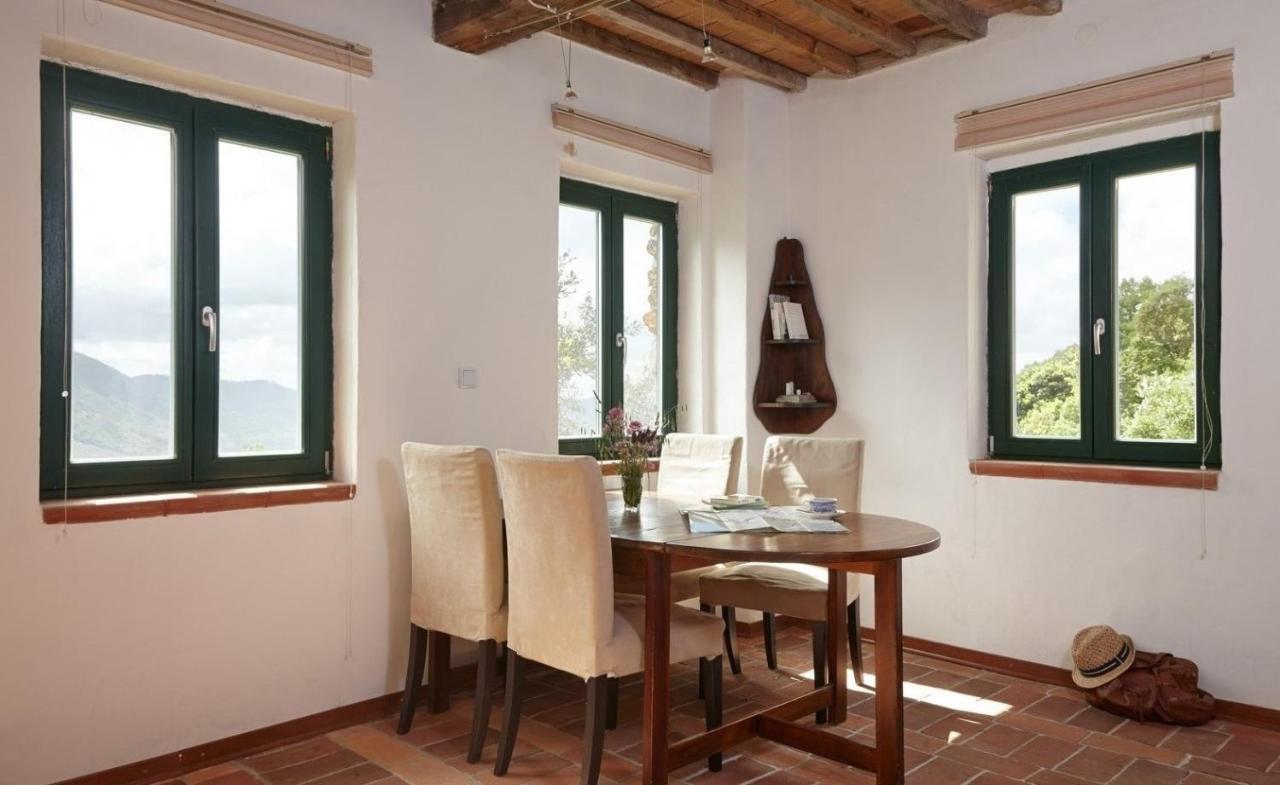Casa Berti - Urlaub Im Olivenhain กาไมโยเร ภายนอก รูปภาพ