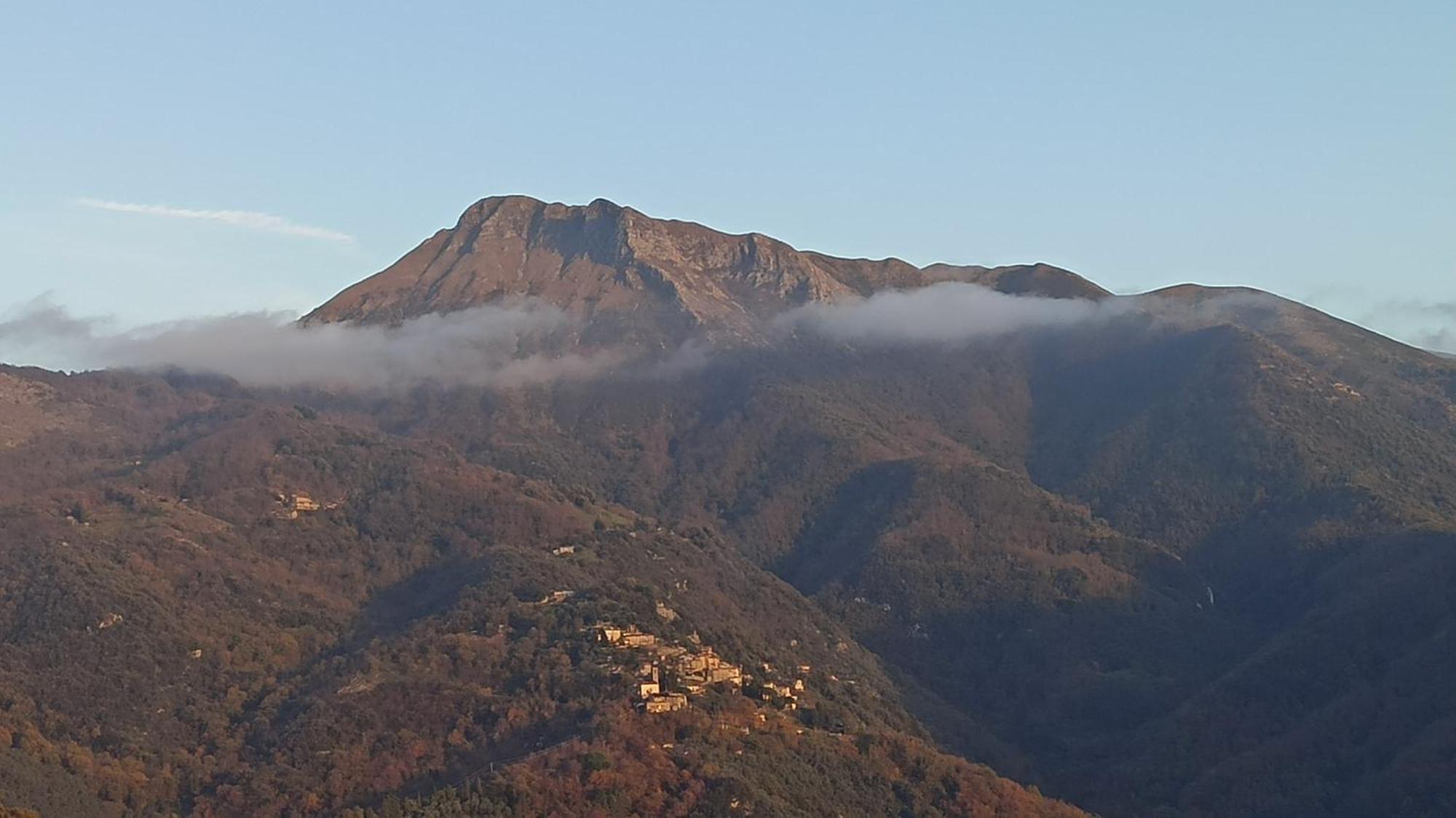 Casa Berti - Urlaub Im Olivenhain กาไมโยเร ภายนอก รูปภาพ